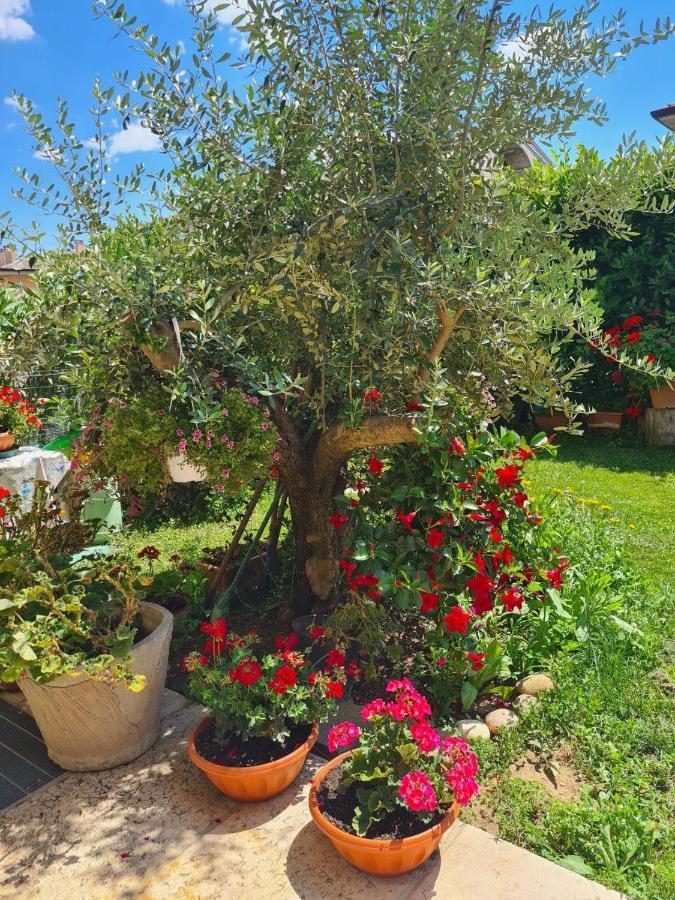 Casa Andre Daire Pescantina Dış mekan fotoğraf